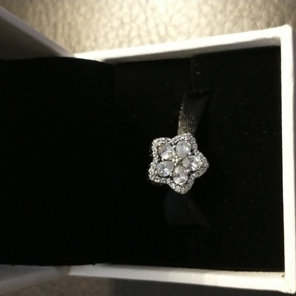 Pandora charm